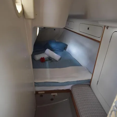 Arecadina 船上ホテル *